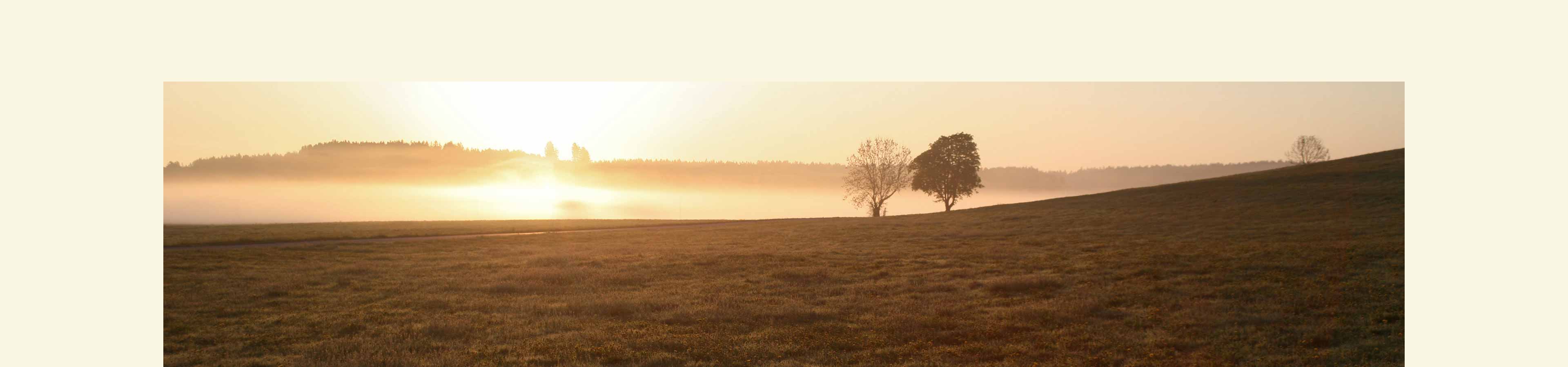 Praxis und Pflegedienst Markov info