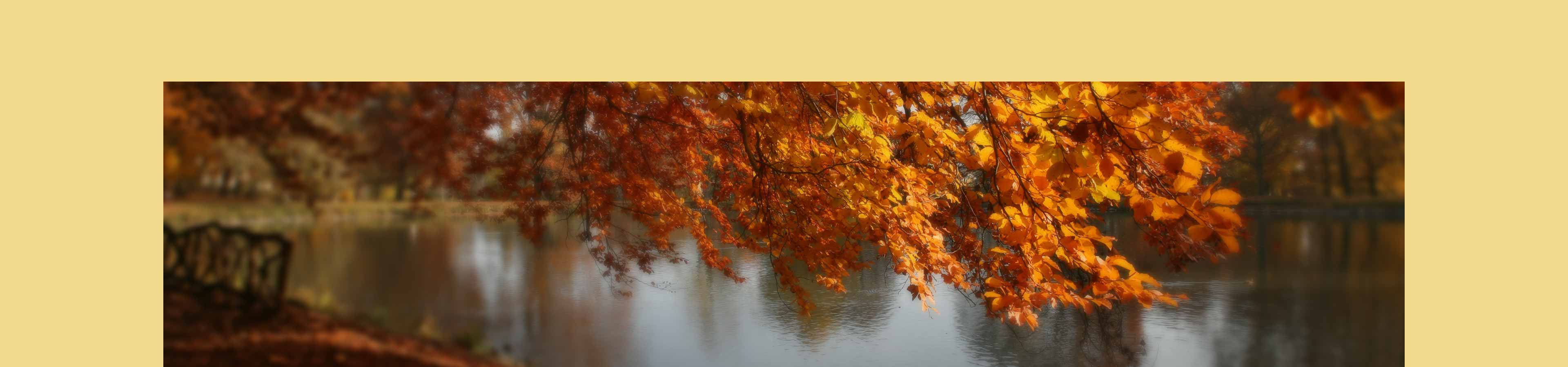 Praxis und Pflegedienst Markov