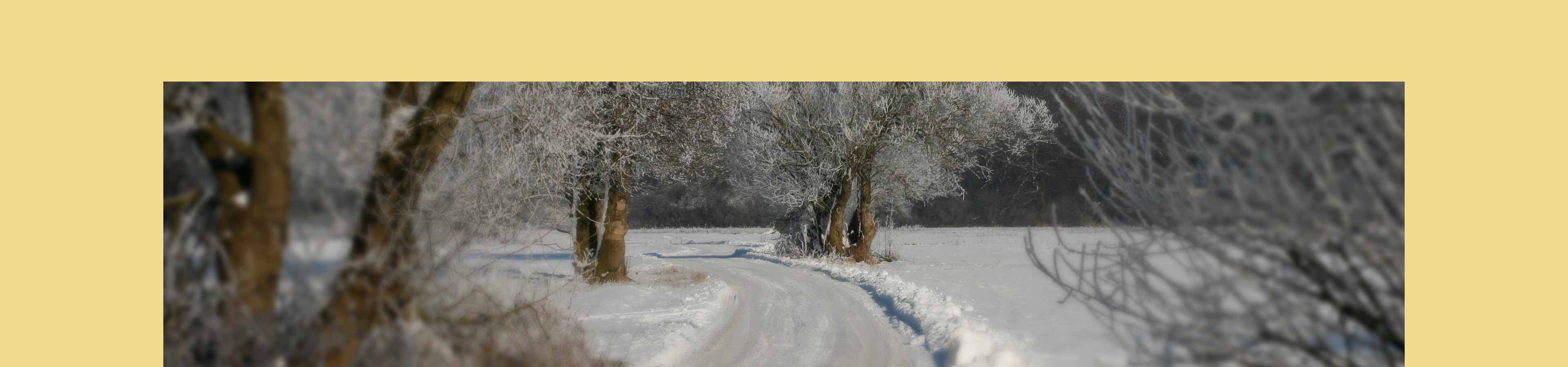 Praxis und Pflegedienst Markov